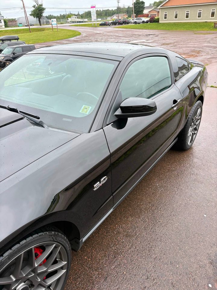 black mustang gt gloss side, detailed by MG Detailing