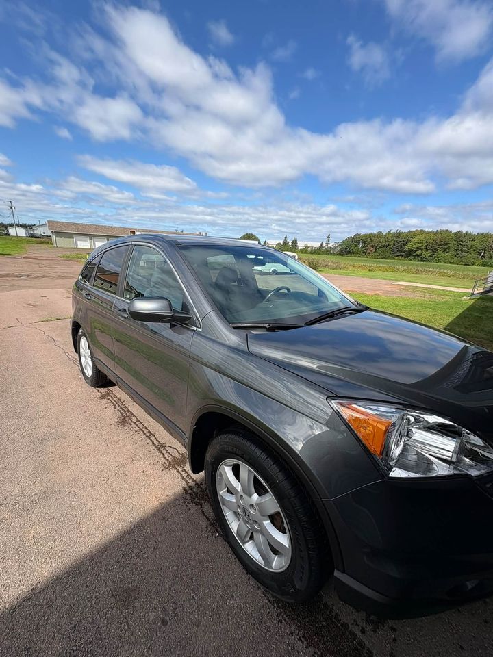 dark Honda CR-V under a blue sky, detailed by MG Detailing